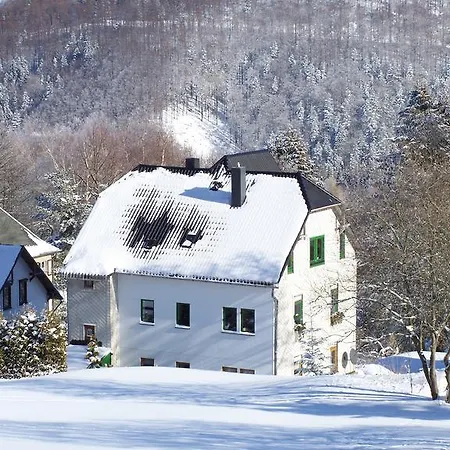 Haus Zum Wilden Wein 公寓
